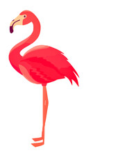 Obraz premium A tropical pink flamingo vector illustration featuring a pair of wild birds standing in nature with a cartoon silhouette design and elegant feathers