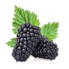 Two blackberries, isolated on a white background, design element, authentic photograph, not AI-generated
