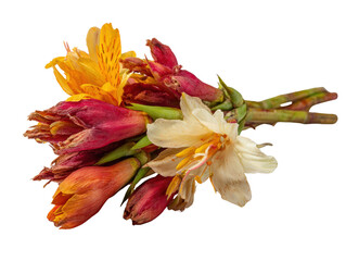 Obraz premium Beautiful bouquet of vibrant flowers featuring red, orange, and white petals, showcasing nature elegance and charm