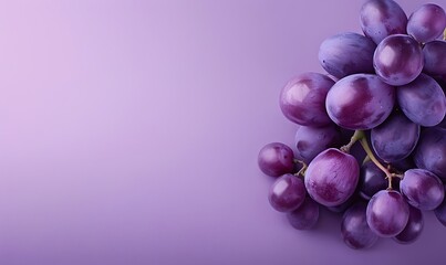Purple grapes on the right against a smooth purple-to-white gradient with elegant copy space