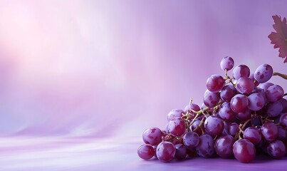 Plump purple grapes on a refined purple-to-white gradient backdrop with clean center space