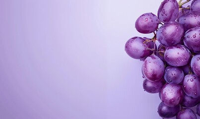 Elegant composition of purple grapes on the right with a smooth gradient and open center area