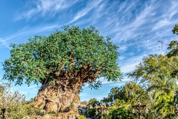 A large tree with a trunk that is very thick and has a lot of branches. The sky is blue and there are some clouds in the background