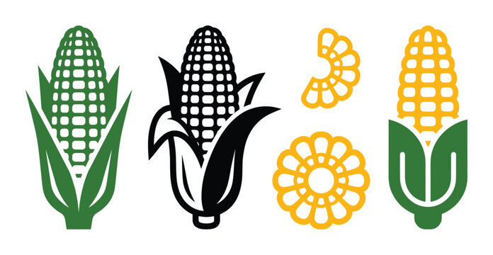 Set of yellow, green, and black corn cobs vector design, isolated on white background. Agriculture and food icon.