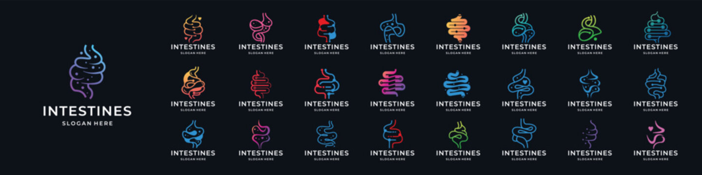 set of intestine logos vector for health and doctor logo collection. Intestine human digestion Organ design vector illustration.