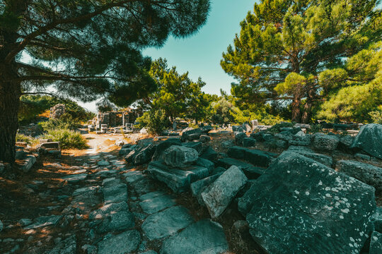 Ruins of the ancient city of Priene, Turkey. The Temple of Athena Polias in Priene  an Ionic Order temple located northwest of  agora, inside the sanctuary complex. It was dedicated to Athena Polias, 