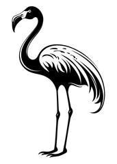 Obraz premium PNG Flamingo animal bird monochrome.