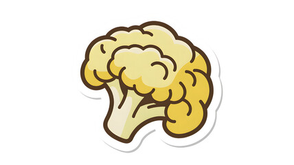 Cute cartoon style illustration of a fresh and healthy white cauliflower vegetable