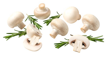 Fototapeta premium White champignon mushrooms with rosemary, isolated on white or transparent background, ideal for cooking, gourmet cuisine, and fresh ingredient concepts. PNG