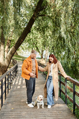 Couple enjoying a spring day stroll with their disabled dog in a park