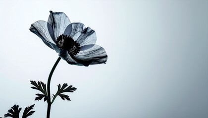 ダーツの矢, ダーツ, 並ぶ, 白背景, ミニマル, シンプル, コピースペース, クリーン, スポーツ, 的, 矢, dart, darts, lineup, white background, minimalist, simple, clean, copy space, sport, arrow
