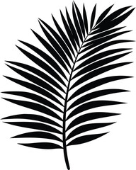 Palm leaf summer silhouette illustration.