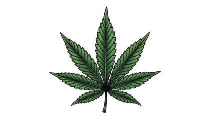 Handdrawn Green Cannabis Leaf Illustration On Black