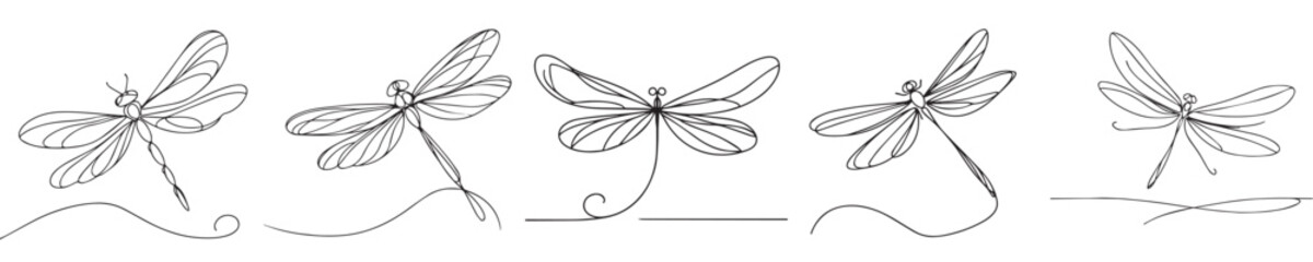dragonfly vector continuous line style