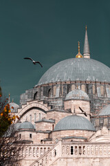  Suleymaniye Mosque in ıItanbul, Turkiye