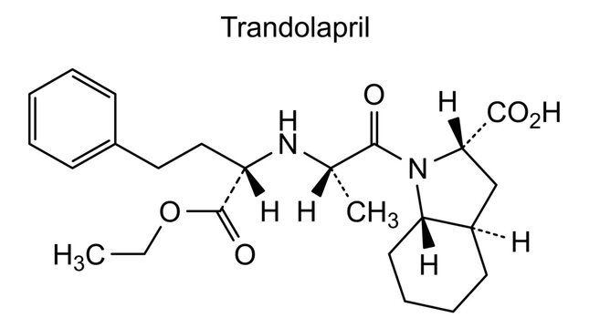 Trandolapril, chemical structure of trandolapril, drug substance