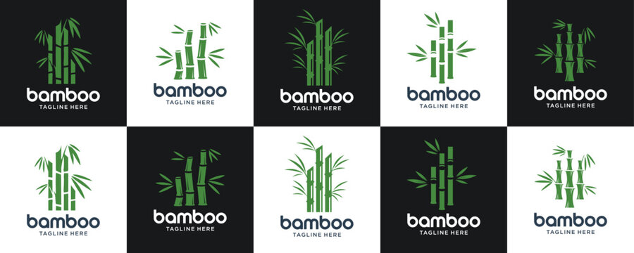 set bamboo logos design set template. leaf tree bambo logo inspiration.