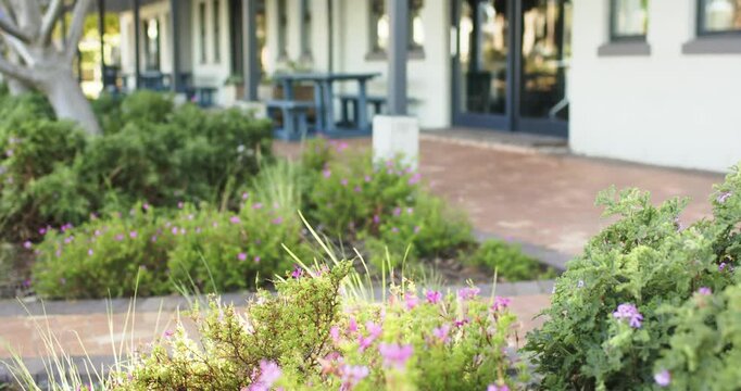 Camera is pulling focus and dollying right to reveal purple flowering shrubs and patio entrance