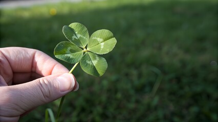 A hand holding a four leaf clover in a lush green field