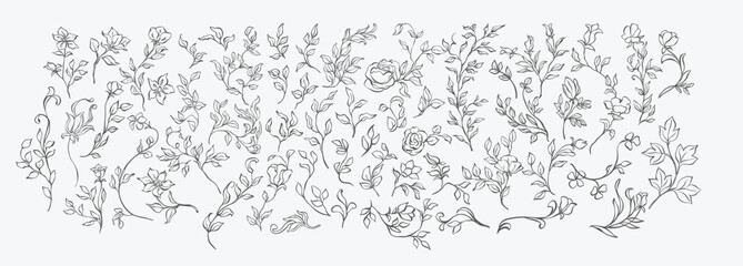 Vintage floral elements line art set. Whimsical, elegant branches, flowers and leaves sketches for wedding invitation decor, frames, wreaths, greeting card, books, save the date. Victorian plants set. © Berentina