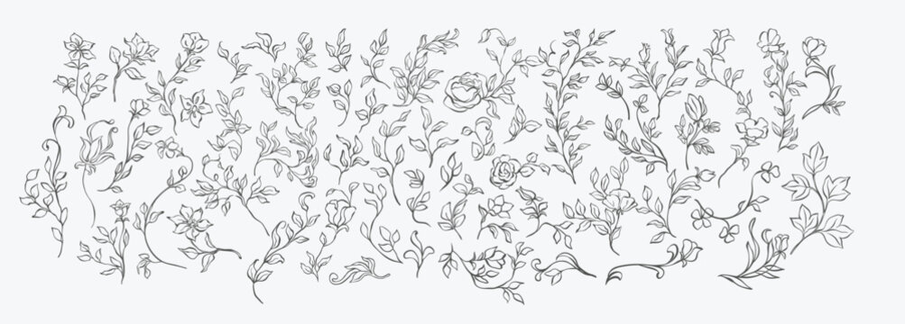 Vintage floral elements line art set. Whimsical, elegant branches, flowers and leaves sketches for wedding invitation decor, frames, wreaths, greeting card, books, save the date. Victorian plants set.