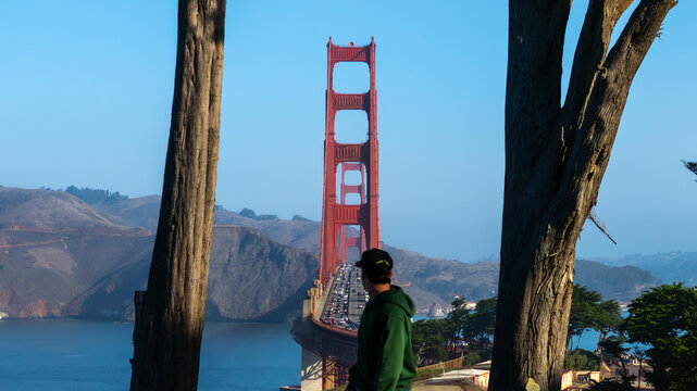 Aerial view of the iconic Golden Gate Bridge framed by trees, with a lone figure gazing at the engineering marvel, San Francisco, California, United States.