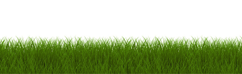 Green Grass Border With White Background
