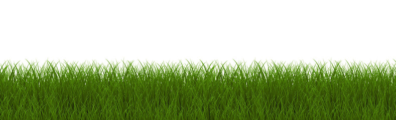 Green Grass Border With White Background