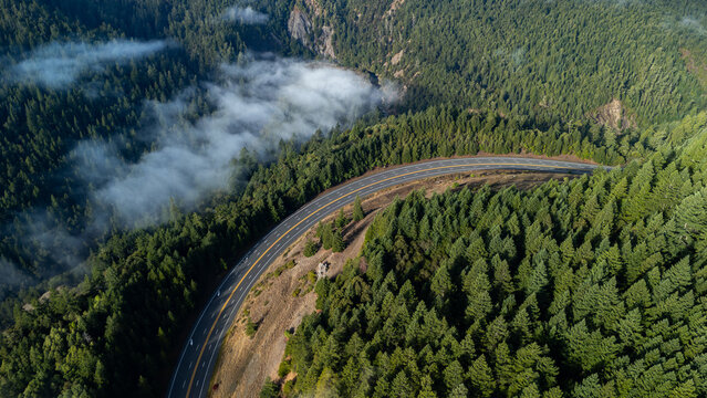 Aerial view of a winding road cutting through a dense forest, with swirling mist hanging low, creating a serene yet dramatic landscape. California, United States.