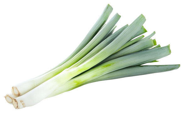 PNG Leek vegetable leeks background.