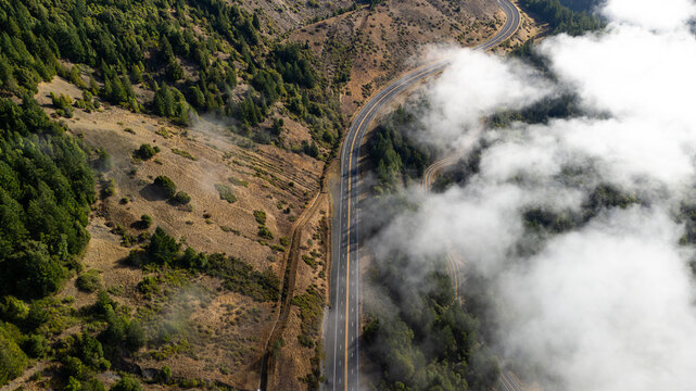 Aerial view of a winding road cutting through a landscape where golden hills meet the emerald embrace of forests, with a sea of clouds drifting nearby, California, United States.