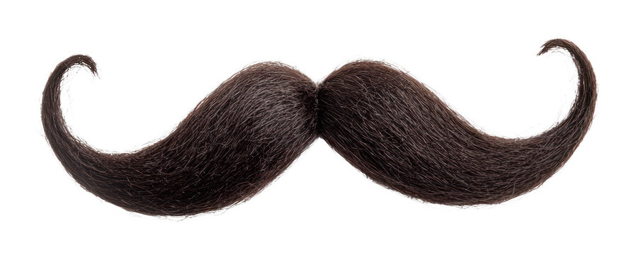 PNG Thick Mustache Style mustache style accessory.