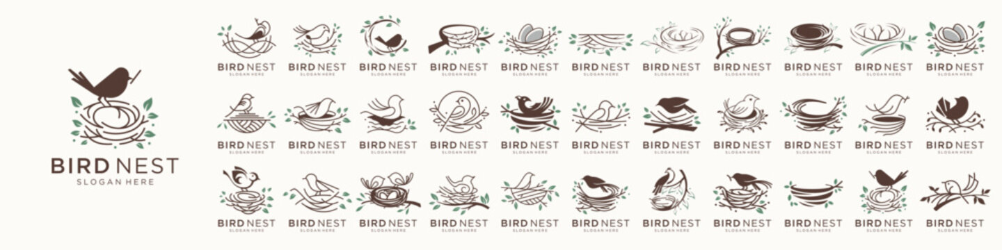 mega bundle set of bird's nest logos. collection bird vector, eggs, roots line and nests house line design elements template.