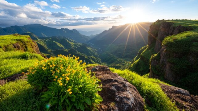 Dramatic Dawn Over Rift Valley Escarpment with Flowers and Sunlight Peeking Through