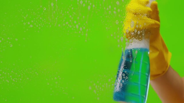 Cleaning service, Close up of woman cleaning table at home with spray. Homework, clean of ditry kitchen table with surface cleaner spray, cleaner spray, household clean chroma key green screen