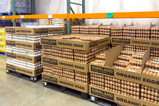 Egg pallets stacked in dairy cooler