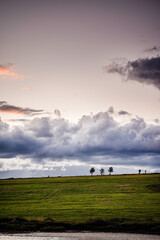 Obraz premium Small trees dot a grassy hill under a dramatic evening sky filled with layered clouds and warm sunset tones near a calm river.