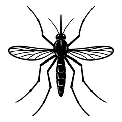 Fototapeta premium Mosquito Vector Illustration - Detailed Top-Down View