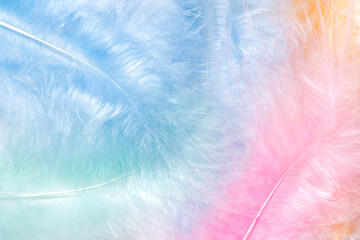 Soft pastel feather background with gentle colorful hues
