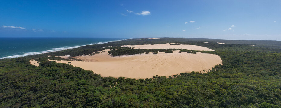 Aerial view of vast sand dunes meet lush green forest bordering the turquoise sea, creating a striking contrast, Beerall Sandblow, K'Gari Fraser Island, Queensland, Australia.
