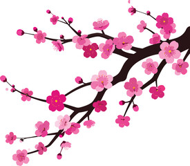 Fototapeta premium Vibrant pink cherry blossoms blooming on a dark brown branch against a white background, depicting spring beauty.
