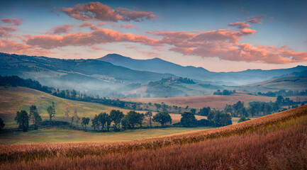 Misty summer sunrise in Italian countryside. Amazing morning scene of field of wheat in Italy,...