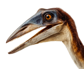 Realistic feathered dinosaur head with sharp teeth and an open mouth shows detailed scaly skin and a large orange eye in a close-up profile portrait
