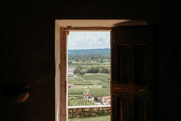 Paesaggio vigneti italiano