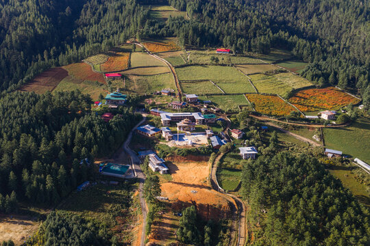 Aerial view of vibrant fields contrasting with the lush forests surrounding the structures, creating a harmonious blend of nature and architecture, Shuri, Bumthang, Bhutan.