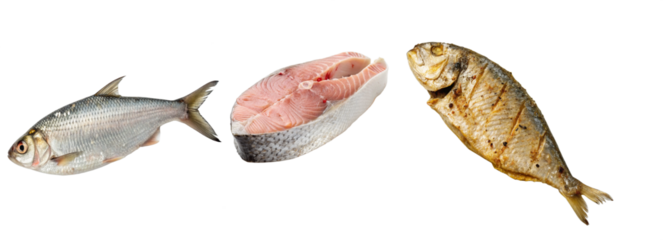 ilish Fish from Raw to Cooked Steak Isolated on Black Background