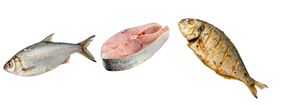 ilish Fish from Raw to Cooked Steak Isolated on Black Background