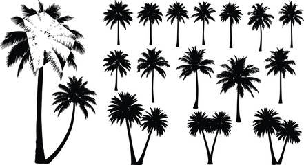 Obraz premium Palm tree silhouette set, tropical black illustration, frond and trunk variations for beach design, botanical art, summer graphic decoration