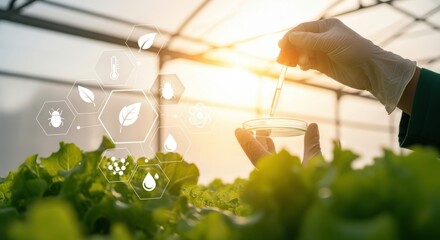 Scientist conducting hydroponic research in greenhouse with modern technology and plant growth