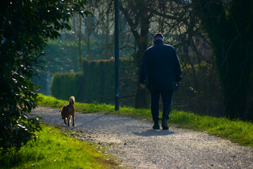 Elderly man walking with the dog on a leash